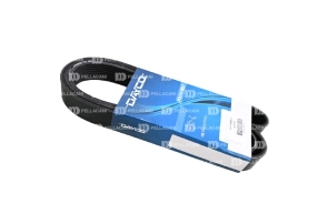 Correa Poly-V 8PK1535 - Pellacani Store