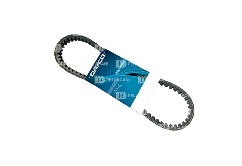 Correa Trapezoidal 13A1100HD - Pellacani Store