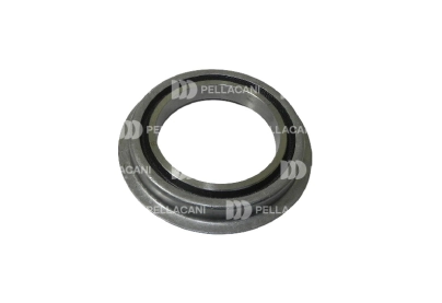 Anillo de Desgaste Cubo Trasero