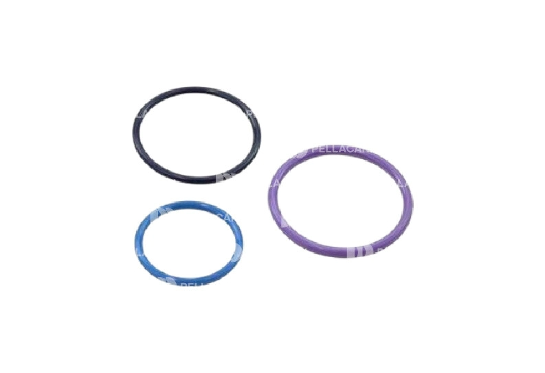 Kit Reparaci�n V�lvula Inyectora x6u