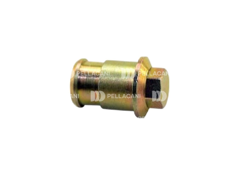 Tuerca Tapa de V�lvula DS11 X4