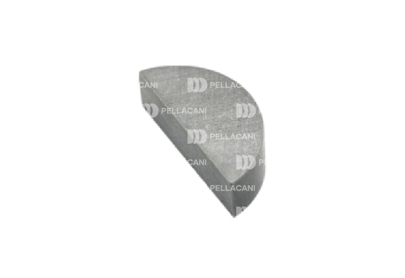 Clavija Cig�e�al DS 11 x10u