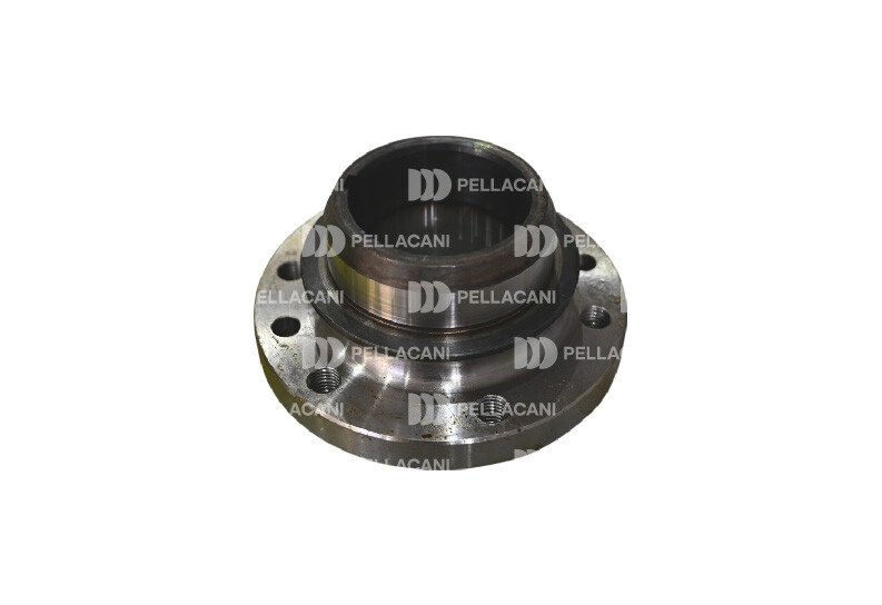 Buje cigue�al scania
