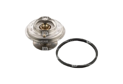 ELIMINAR Termostato Simple Iveco 75&deg;C