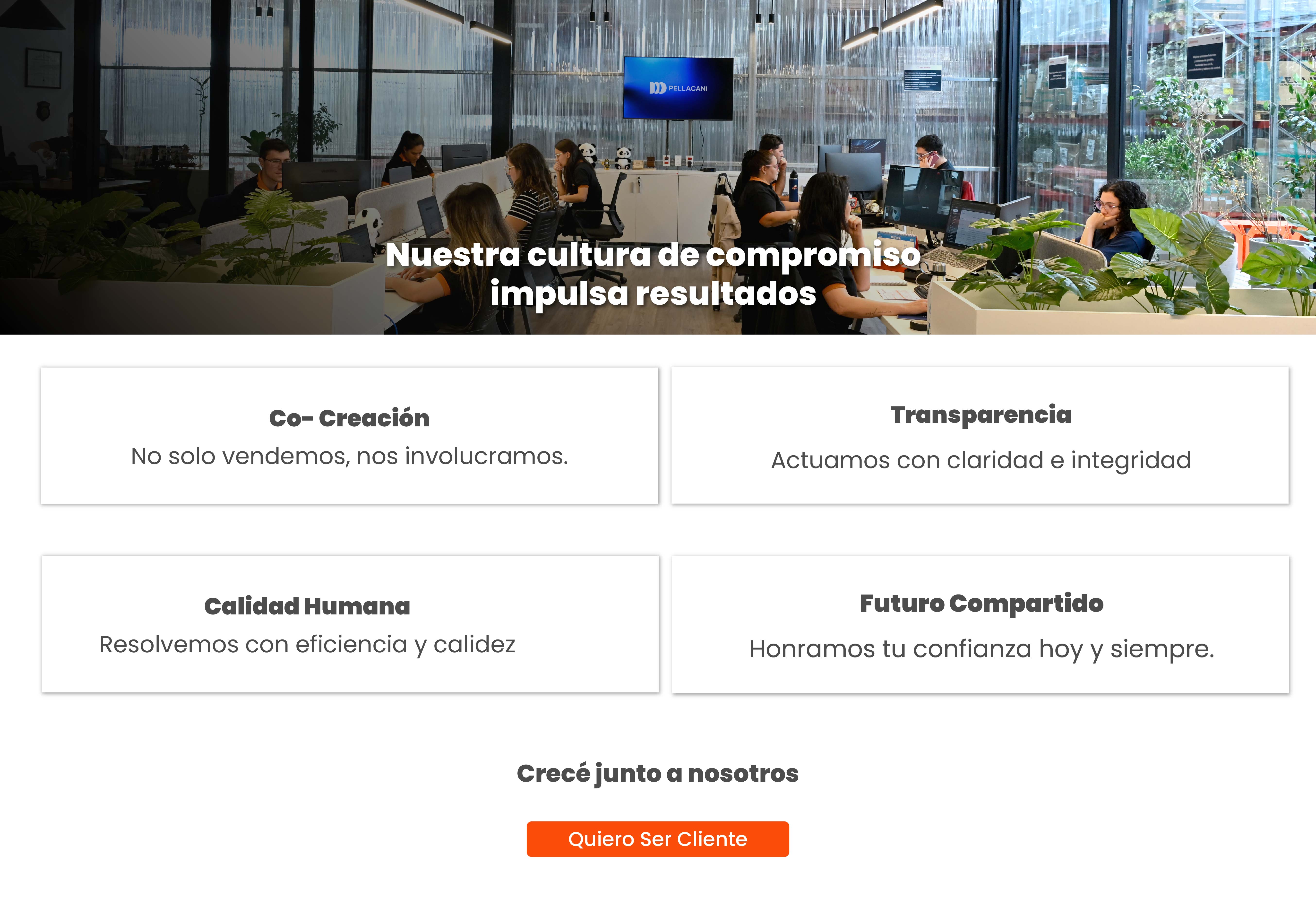 Cultura de compromiso, co-creaci&oacute;n y transparencia en Pellacani Store: equipo profesional impulsando resultados para la industria.